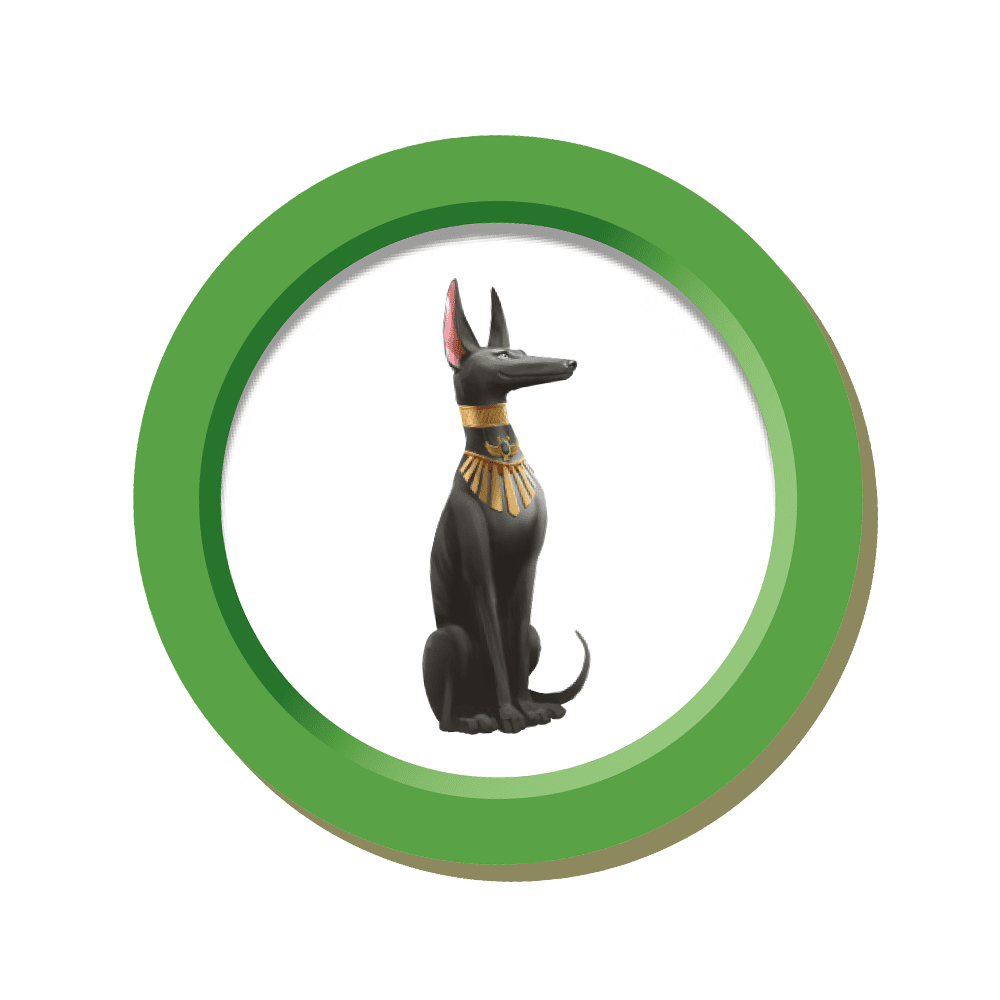 7 Wonders accessoire